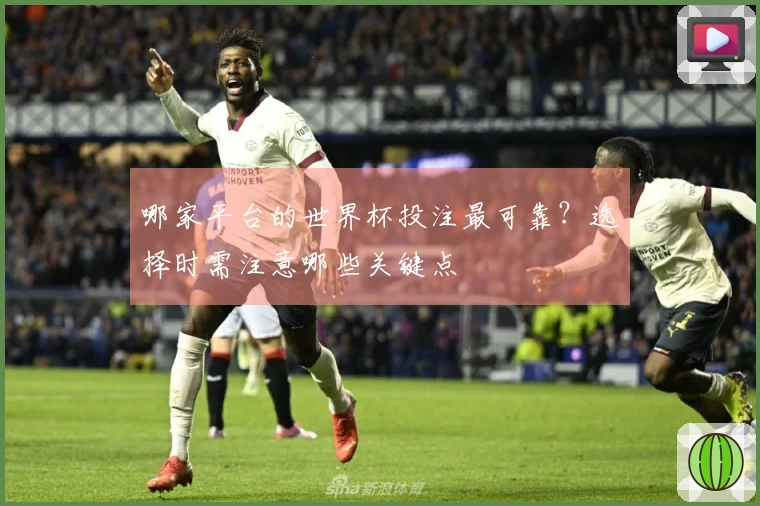 哪家平台的世界杯投注最可靠？选择时需注意哪些关键点