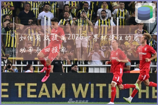 如何有效提高2026世界杯投注的成功率和回报率