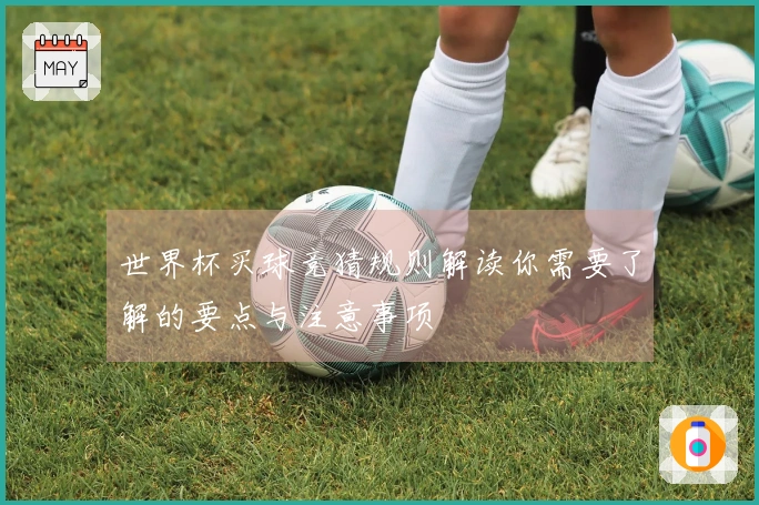 世界杯买球竞猜规则解读你需要了解的要点与注意事项