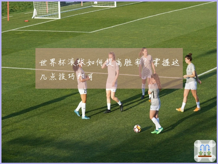 世界杯滚球如何提高胜率？掌握这几点技巧即可