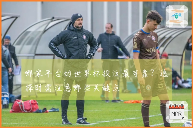哪家平台的世界杯投注最可靠？选择时需注意哪些关键点