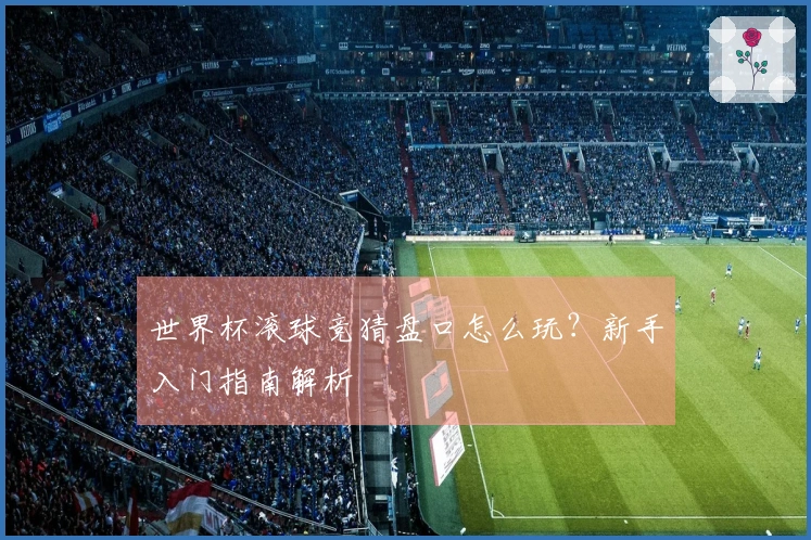 世界杯滚球竞猜盘口怎么玩？新手入门指南解析