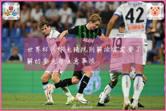 世界杯买球竞猜规则解读你需要了解的要点与注意事项