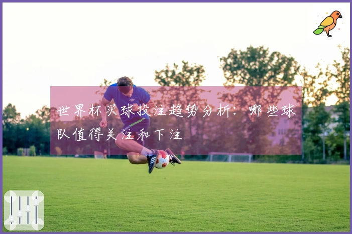 世界杯买球投注趋势分析：哪些球队值得关注和下注