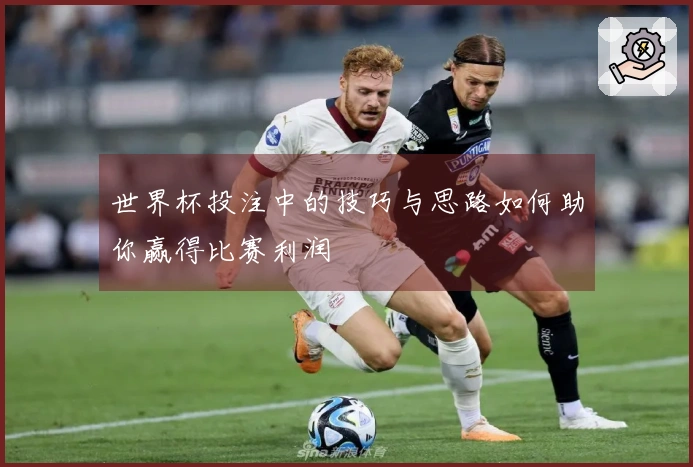 世界杯投注中的技巧与思路如何助你赢得比赛利润