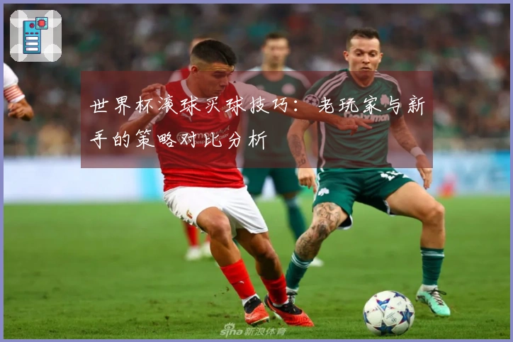 世界杯滚球买球技巧：老玩家与新手的策略对比分析