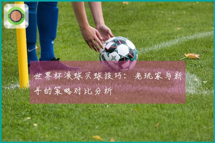 世界杯滚球买球技巧：老玩家与新手的策略对比分析
