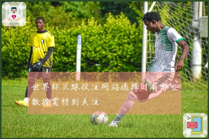 世界杯买球投注网站选择时有哪些数据需特别关注