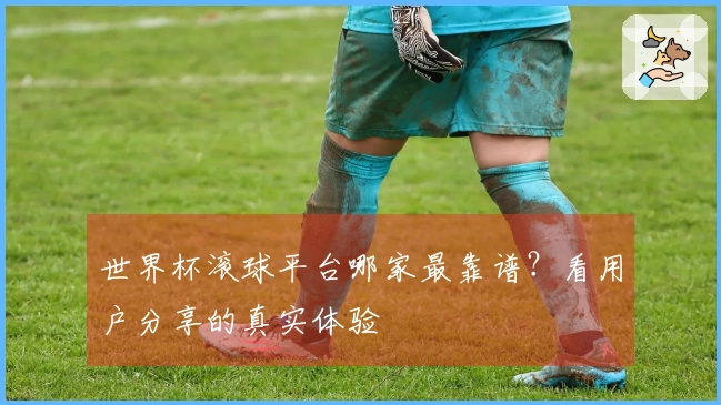 世界杯滚球平台哪家最靠谱？看用户分享的真实体验