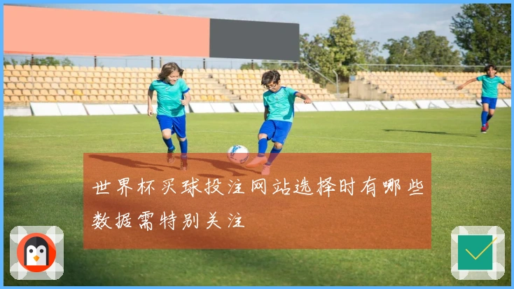 世界杯买球投注网站选择时有哪些数据需特别关注